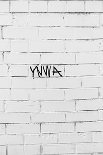 yNwa by Douglas Fonseca