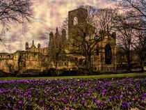 Spring Around the Corner by Colin Metcalf