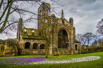 Crocuses at the Abbey by Colin Metcalf