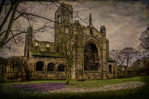 Crocuses at the Abbey by Colin Metcalf