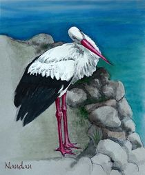 White Stork by Nandan Nagwekar