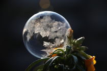 Frozen Bubble  - gefrorene Seifenblase by frakn