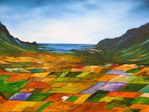 The fields of Dingle by Conor Murphy