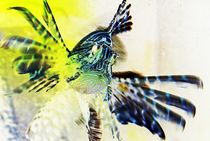 flying fish... by loewenherz-artwork