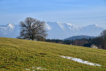 Blick auf die Alpen - Frühlin in Bayern von Peter Bergmann