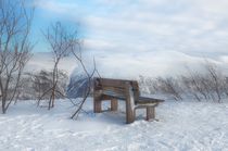 Winter by Iris Heuer
