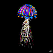 Jellyfish by Vincent J. Newman