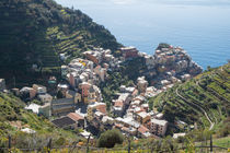 Manarola by m-pictures