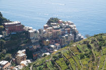 Manarola by m-pictures