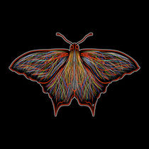 Butterfly  von Vincent J. Newman