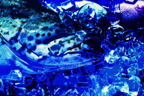 Fangfrisch auf Eis - blau von Hartmut Binder