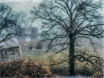 Festungsruine Hohentwiel im Nebel IV von Christine Horn