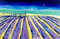 Lavendel in der Haute-Provence von Christian Seebauer