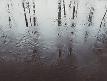 Reflected trees von Andrei Grigorev