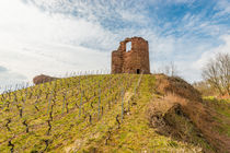 Burg Gutenburg 69 by Erhard Hess