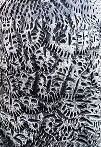 Texture Metal von casselfornia-art
