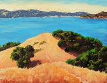 Angel Island Vista von Steven Guy Bilodeau