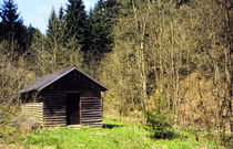 Waldhütte. von fischbeck