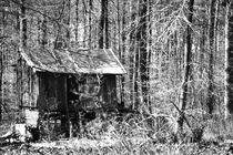 Verfallene Waldhütte. von fischbeck