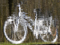 Water Bike by Renate Dienersberger