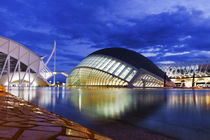 City of Arts and Sciences in Valencia by Tania Lerro