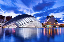 City of Arts and Sciences in Valencia, Spain by Tania Lerro