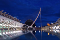 City of Arts and Sciences in Valencia, Spain by Tania Lerro