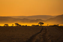 Abendstimmung in der Namib-Wüste von Stefan Schütter