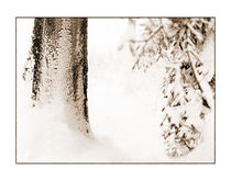 Winter 11 von Theo Broere
