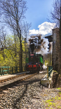 'Steam locomotive in Prokop Valley, Prague' von Tomas Gregor