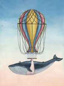 Whale and Bird by zapista