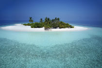 Unbewohnte Malediveninsel | Uninhabited Maldive Island  von Norbert Probst