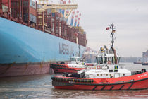 Containerschiff beim Anlegen - Hafen Hamburg by gini-art