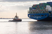Containerschiff mit Schlepper - Elbe Hamburg von gini-art