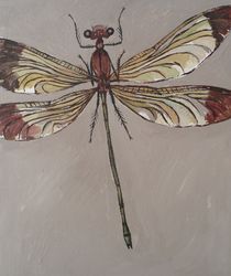 Libelle vor grauem Hintergrund von Gregor Wiggert