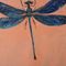 Libelle-mit-blauen-flugelnl