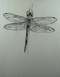 Libelle von Gregor Wiggert