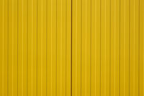 Gelb gestreift by Bastian  Kienitz