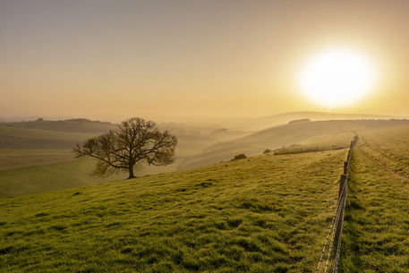 Misty-south-downs-way