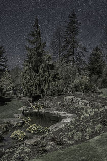 Moonlit Garden von Colin Metcalf