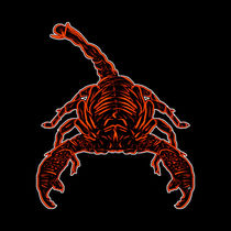 Scorpian  by Vincent J. Newman