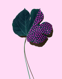 Leaf by thenewblack design