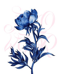 blue rose von thenewblack design