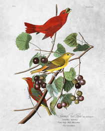  Botanical print by thenewblack design