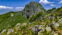 Beskid, Western Tatras, Poland von Tomas Gregor