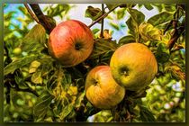 Äpfel von mario-s