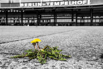 Berlin Tempelhof by Jens L. Heinrich
