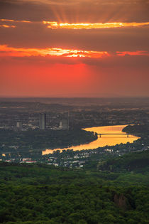 Sonnenuntergang  bei Bonn by Frank Landsberg