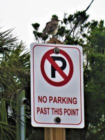 no parking .. parken verboten  von assy