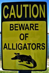 Caution.. Beware of Alligators by assy